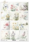 kwiaty, mak, jaskier, chaber, złocień łąkowy, rzeżucha łąkowa, dymnica pospolita, Irys, tulipan, bez, lilak, narcyz, prymulka, frezja*flowers, poppy, ranunculus, cornflower, meadow goldenrod, meadow cress, common cress, iris, tulip, lilac, narcissus
