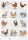 Pastele, tagi, małe obrazki, kogut, kura, kurczaki, króliki, zające, wokół farmy*Pastels, tags, small pictures, cock, chicken, chicken, rabbit, hare, around the farm