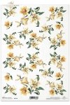 kwiat, kwiaty, lilia, lilie. lilii, ogród, R149, flower, flowers, lily, lilies. lilies, garden, flores, blanco - lirios amarillos. Pequeñas flores dispersas por el prado , weiß - gelbe Lilien. Kleine Blumen verstreut über die Wiese 