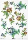 bratki, bratek ogrodowy, fiołek ogrodowy, bukiet, kwiat, łąka, ogród, wiosna, lato, R969, pansies, garden pansy, garden violet, bouquet, flower, meadow, garden, spring, summer, Stiefmütterchen, Gartenstiefmütterchen, Gartenveilchen, Strauß, Blume, Wiese, 