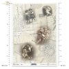 zdjęcia dzieci, serwetki z koronki, zdjęcia, dzieci, serwetki, serwetka, koronka, koronki, retro, vintage, pocztówki, widokówki, R561, pictures, children, napkin, lace, retro, vintage, postcards, Bilder, Kinder, Serviette, Spitze, Retro, Vintage, Postkart