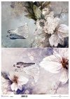 motywy roślinne, motywy kwiatowe, tło, tapeta, kolaż, rośliny, kwiaty*floral motifs, floral motifs, background, wallpaper, collage, plants, flowers*blumenmotive, blumenmotive, hintergrund, wallpaper, collage, pflanzen, blumen*motivos florales, motivos flo