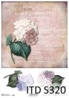 papier decoupage Hortensja*paper decoupage Hydrangea