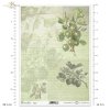 gooseberry, fruits, twig, twigs, leaves, old inscriptions, retro, handwriting, vegetable background, Stachelbeere, Obst, Zweig, Blätter, alte Beschriftung, retro, handschriftlich, Pflanzenhintergrund, grosella espinosa
