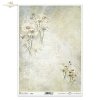 Kwiatowa Poczta, w bieli, rumianek, rumianki, zioła, łąka, kwiaty polne, lato, kolaż, napisy, retro tło, Flower Post, in white, chamomile, herbs, meadow, field flowers, summer, collage, lettering, retro background, Blumenpost, in weiß, Kamille