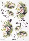 Obst und Blumen, Wildrose, Holunder schwarz, Blume, Knospe, Knospen, Blatt, Blätter, Strauss, Sträusse, Garten, Wiese, fruta y flores, rosa silvestre, saúco negro, flor, capullo, brotes, hoja, hojas, ramo, ramilletes, jardín, pradera