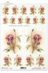 kwiat, akwarela, róże, róża, pąki, kwiaty, róż, ogród, Joanna Pasek, R140, flowers, watercolor, roses, rose, buds, flower, flores, acuarelas, capullos y flores rosas, Joanna Pasek , Blumen, Aquarell, Rosen, Knospen