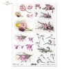wiosna, wiosenne kwiaty, ogród, krokus, krokusy, tulipan, tulipany, naparstnica, kwiaty 3D, 3D efekt, spring flowers, garden, crocus, crocuses, tulip, tulips, foxglove, 3D flowers, 3D effect, Frühling, Frühlingsblumen, Garten, Krokus