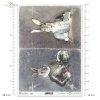 zwierzęta retro, zwierzęta w dawnych strojach, zając, zające, król, królowa, admirał, zoomorfizm, stroje historyczne, hiszpański admirał, francuzka w błękitach, retro animals, animals in vintage clothing, hare, hares, king, queen, admiral
