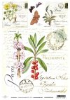 Papel Decoupage Soft S0011
