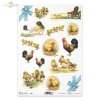 Easter, chickens, flowers, spring, eggs, Easter eggs, R288