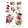 maki, mak, łąka, pole, ogród, polne kwiaty, polne maki, kwiat, kwiaty, kwiatek, kwiatki, lato, R564, poppies, poppy, meadow, field, garden, field flowers, field poppies, flower, summer, Mohn, Wiese, Feld, Garten, Feldblumen, Feldmohn, Blume, Sommer, amapo