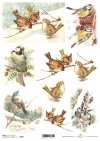 ptak, ptaszek, ptaszki, zima, śnieg, dekoracje na Boże Narodzenie, bożonarodzeniowe motywy, R598, bird, winter, snow, christmas decorations, christmas motifs, Vogel, Vögelchen, Winter, Schnee, Weihnachtsdekoration, Weihnachtsmotive, pájaro, pajarito, invi