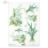 konwalia, konwalie, przebiśnieg, bukiet, kwiat, łąka, ogród, wiosna, R967, lily of the valley, snowdrop, bouquet, flower, meadow, garden, spring, Maiglöckchen, Schneeglöckchen, Strauß, Blume, Wiese, Garten, Frühling, lirio de los valles, campanilla de inv