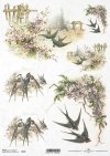 bird, birds, swallow, swallows, birdhouse, flowers, spring, R670