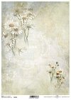 Seria Flower Post - White, Kwiatowa Poczta w bieli, rumianek*Flower Post in white, camomile, collage, inscriptions