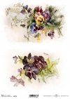 wiosenne kwiaty, bratki, fiołki*spring flowers, pansies, violets*Frühlingsblumen, Stiefmütterchen, Veilchen*flores de primavera, pensamientos, violetas