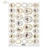 ornamenty, owale, medaliony, Kamea, popiersie, portret, kobieta, kobiety, dama, damy, kapelusze, moda, retro, vintage, ramka, ozdobne ramki, ornaments, ovals, medallions, cameo, bust, portrait, woman, women