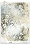 kwiaty flowers Blumen flores 