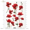 maki, mak, makówki, łąka, meadow, flower, flowers, poppies