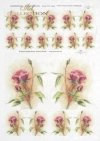 decoupage-kwiat-akwarela-róże-kwiaty-ogród-Joanna-Pasek-R0140