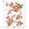 mak, maki, makowe, kwiat, łąka, ogród, lato, R956, poppy, flower, meadow, garden, summer, Mohn, Mohnblume, Blume, Wiese, Garten, Sommer, amapola, flor, prado, jardín, verano 