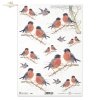 ptak, ptaki na gałęzi, ptaszek, ptaszki, gil, zima, R590, birds on a branch, bird, winter,  pájaros en una rama, pájaro, invierno, Vögel auf einem Zweig, Vogel, Vögel, Winter