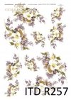 kwiaty, jaśmin, jaśminowy, jaśminowiec, gałązki, R257