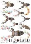 papier decoupage głowy, poroża jelenia*paper decoupage head, antlers deer*cabezas, cuernos de venado*головы, оленьи рога*Köpfe, Hirschgeweihe