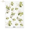 kwiat jabłoni, kwitnąca jabłoń, drzewo owocowe, wiosna, R678, apple blossom, blossoming apple tree, fruit tree, spring, Apfelblüte, blühender Apfelbaum, Obstbaum, Frühling, manzano en flor, manzano en flor, árbol frutal, primavera