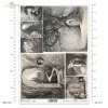 mystery, good, evil, fight between good and evil, dragon, snake, fight with dragon, knight, warrior, door to another world, castle, Lucia and the Old Wardrobe, secret castle, secret door, passage, Schwarz-Weiß, Mystery, Gut