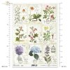 Zielnik, Herbarium, miniatury, miniatura, zioła, kwiaty, ręczne pismo, rumianek, mniszek, dzika róża, lawenda, hortensja, klatka dla ptaków, retro, Herbarium series, miniatures, miniature, herbs, flowers, handwriting, chamomile, dandelion, wild rose