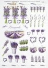 lawenda, lawendowe, bukiet, bukiety, flower, flowers, lavender, bouquets, bouquet, R040