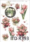 tulipan, tulipany, kwiat, kwiaty, kwiatek, kwiatki, bukiet, bukiety, R393