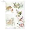 zima, ptak, sikorka, sikorki, rudzik, ptaszek, ptaszki, ostrokrzew, śnieg, winter, bird, tit, redstart, holly, snow, Winter, Vogel, Meise, Gartenrotschwanz, Stechpalme, Schnee, invierno, pájaro, herrerillo, pájaro, acebo, nieve