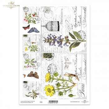 Folia przezroczysta (HS code 39261000) F151