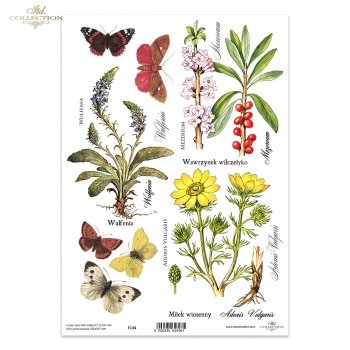Folia przezroczysta (HS code 39261000) F134
