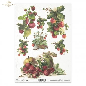 Reispapier für Serviettentechnik und Decoupage R0394