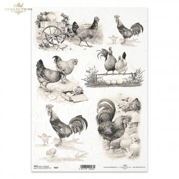 Reispapier für Serviettentechnik und Decoupage R0667