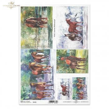 Reispapier für Serviettentechnik und Decoupage R1218