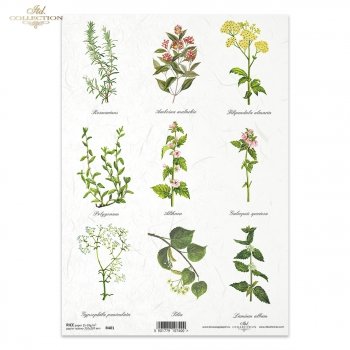 Reispapier für Serviettentechnik und Decoupage R0401