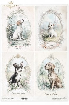 Reispapier A3 für Decoupage R1405L