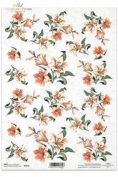 Rice paper R0148
