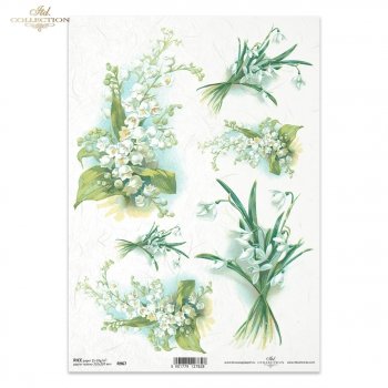 Rice paper R0967
