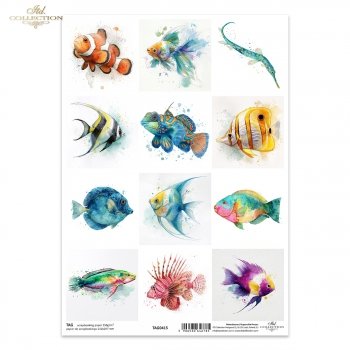 Tags, frames to scrapbooking TAG0415