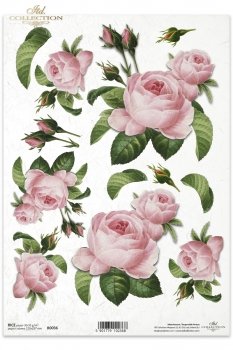 Rice paper R0036