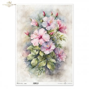 Rice paper R1305L