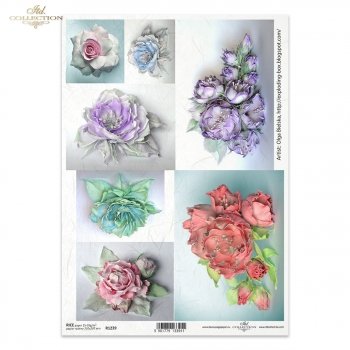 Rice paper R1239