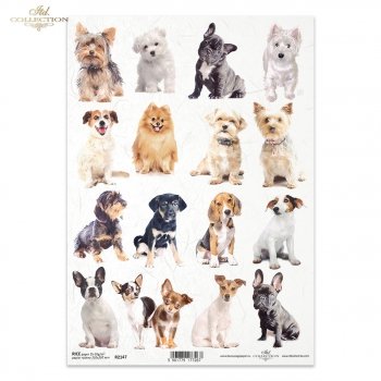 Rice paper R2147