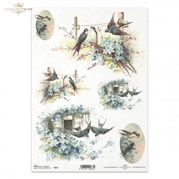 Rice paper R0672